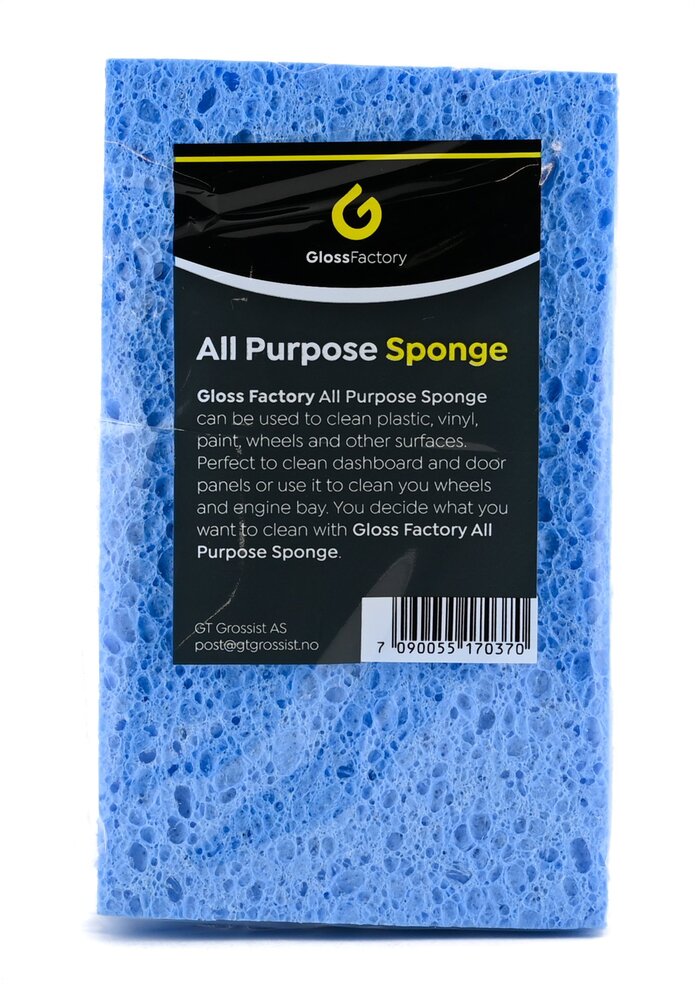All Purpose Sponge Svamp blå