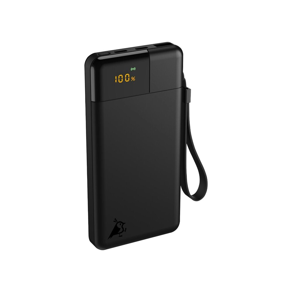 Powerbank Powerbird B10 10000 mAh svart